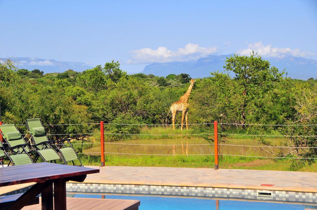 Cheetah Paw Eco Lodge Guernsey Nature Reserve Dış mekan fotoğraf