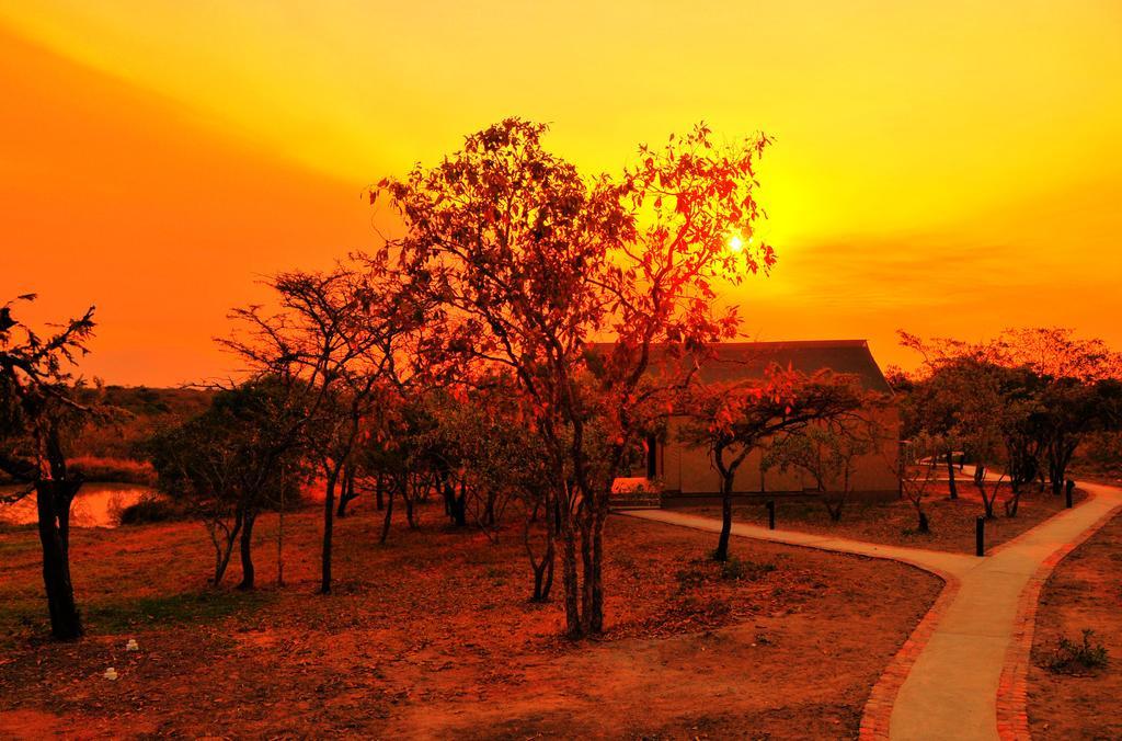 Cheetah Paw Eco Lodge Guernsey Nature Reserve Dış mekan fotoğraf